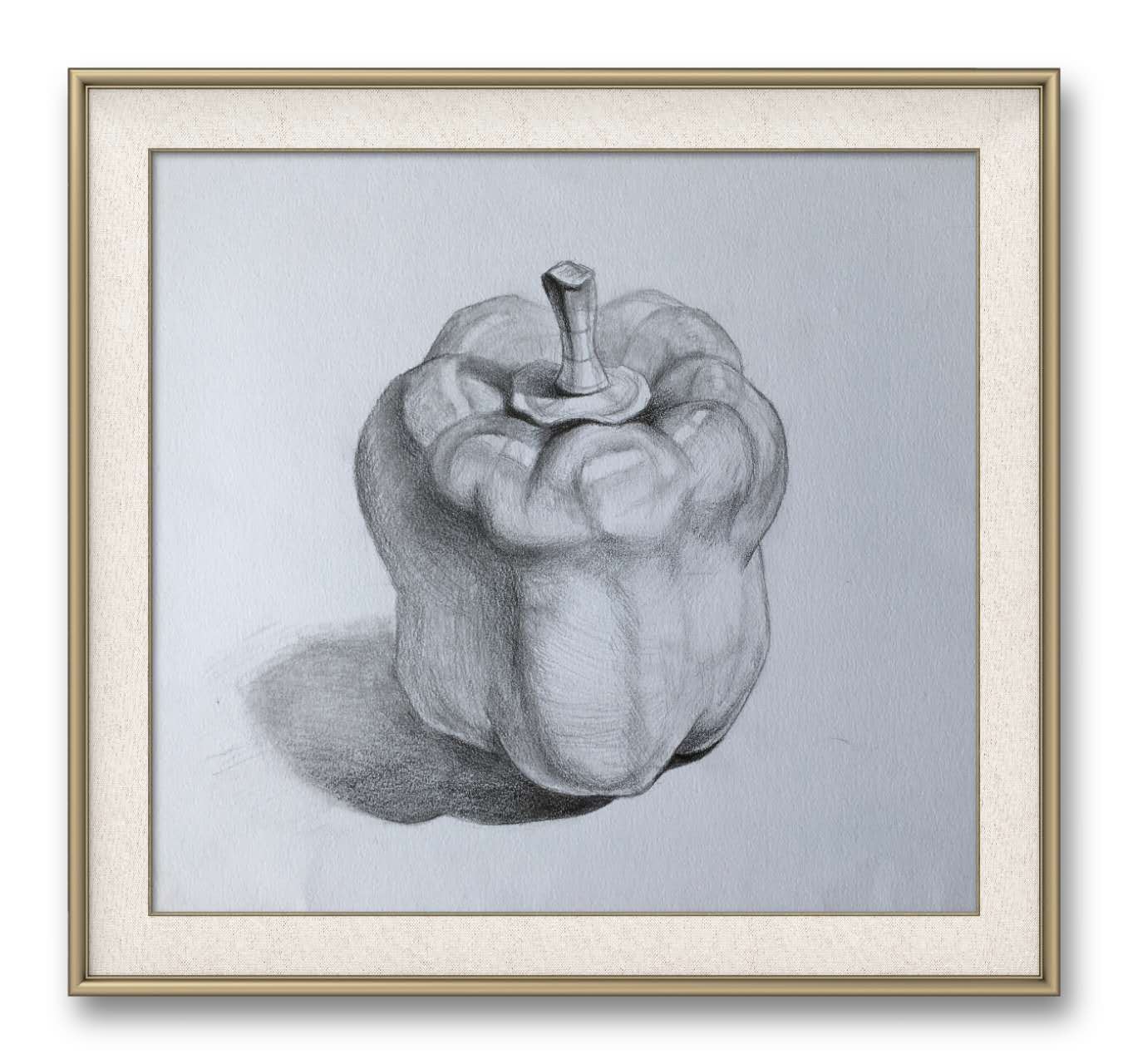 Marion Bevilacqua, 成人，线上素描中级课，课堂作品 (2)